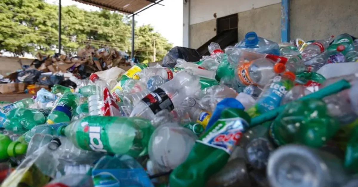 Dia Nacional da reciclagem: Entenda importância e saiba como fazer separação de resíduos