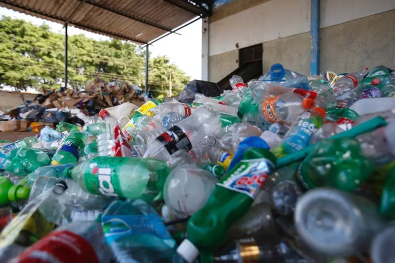 Dia Nacional da reciclagem: Entenda importância e saiba como fazer separação de resíduos