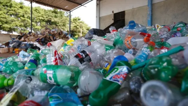 Dia Nacional da reciclagem: Entenda importância e saiba como fazer separação de resíduos