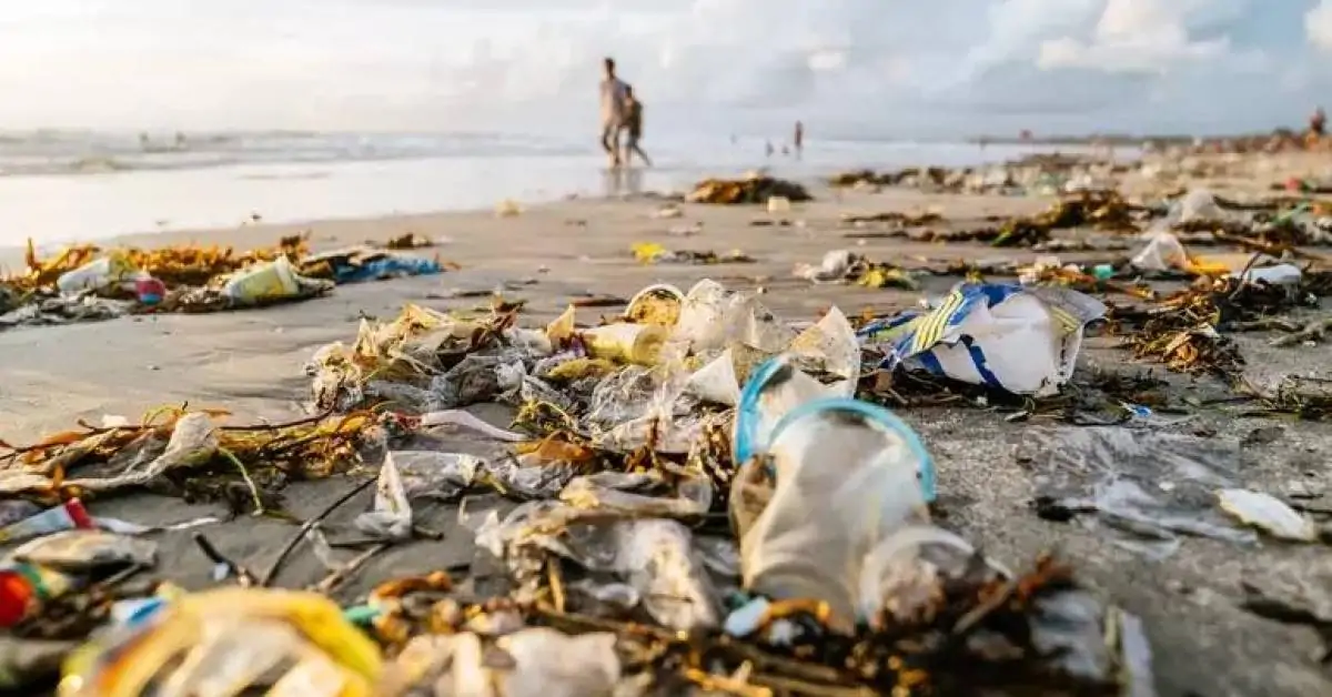 'Aprender a desaprender': como mudança no consumo pode ajudar meio ambiente