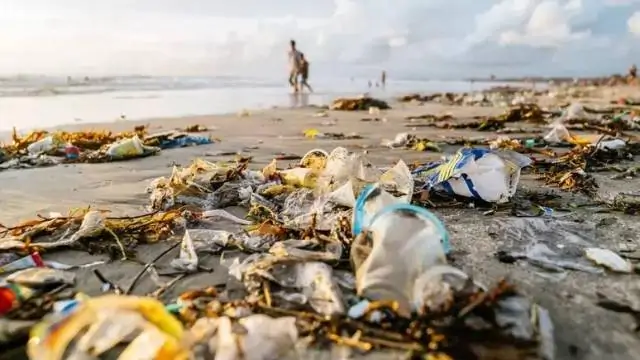 'Aprender a desaprender': como mudança no consumo pode ajudar meio ambiente