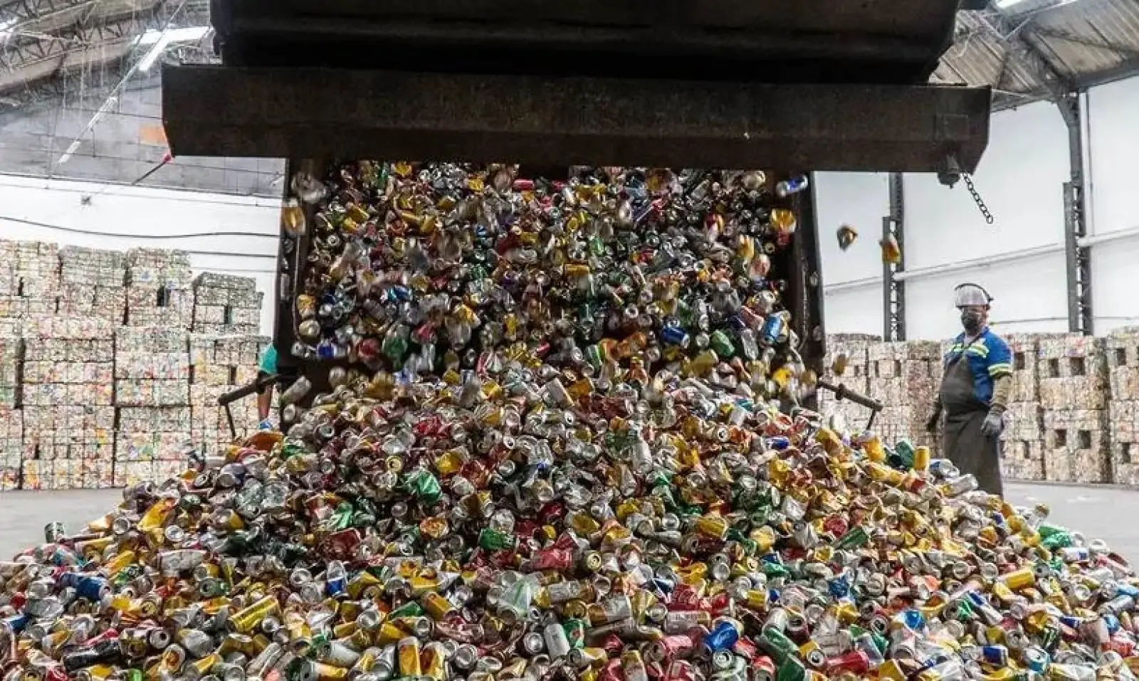 'Catadores são protagonistas da reciclagem, mas enfrentam vulnerabilidade social', diz especialista