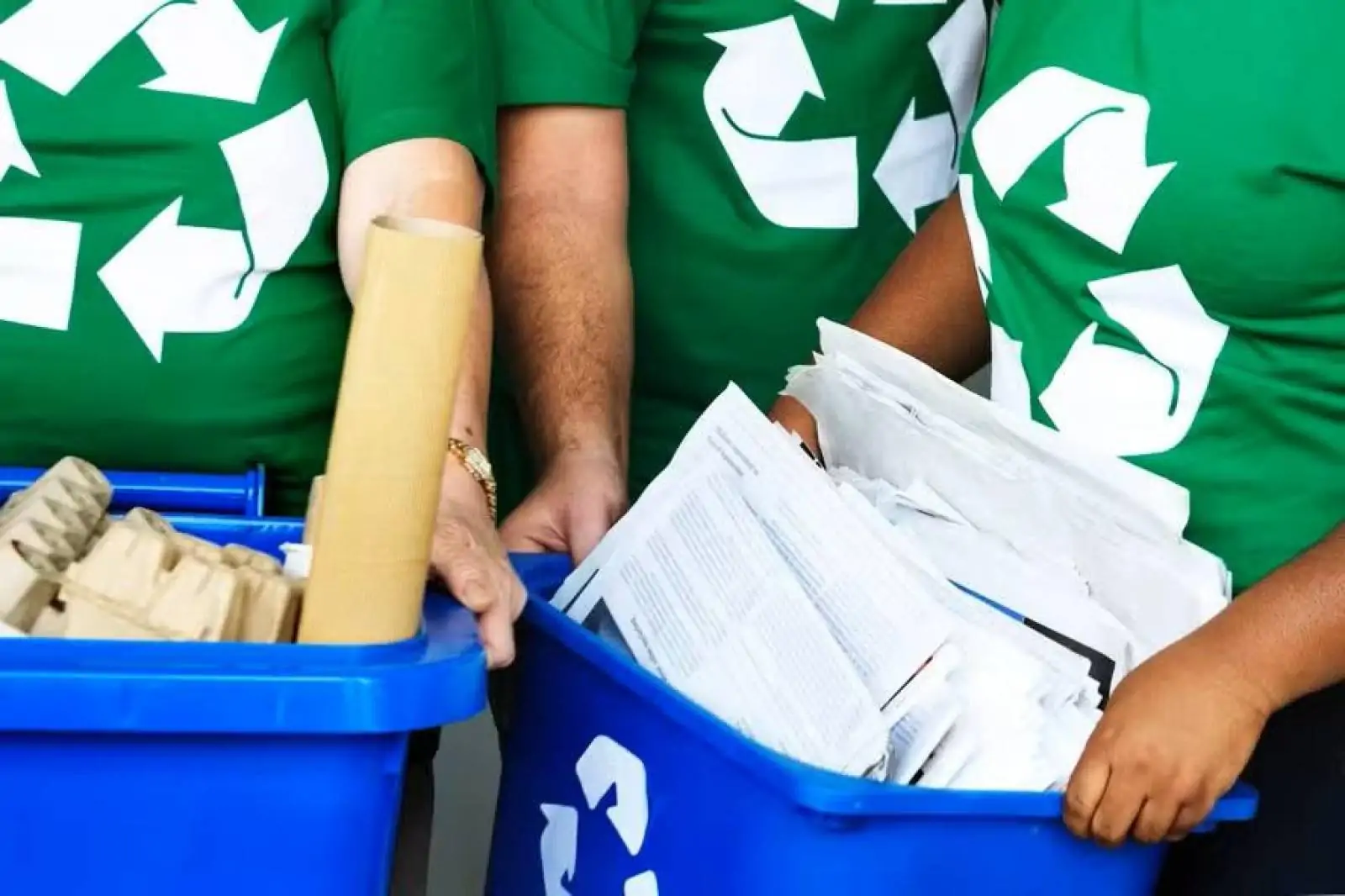 Sirí: conheça o app de reciclagem para agendar coletas de casa