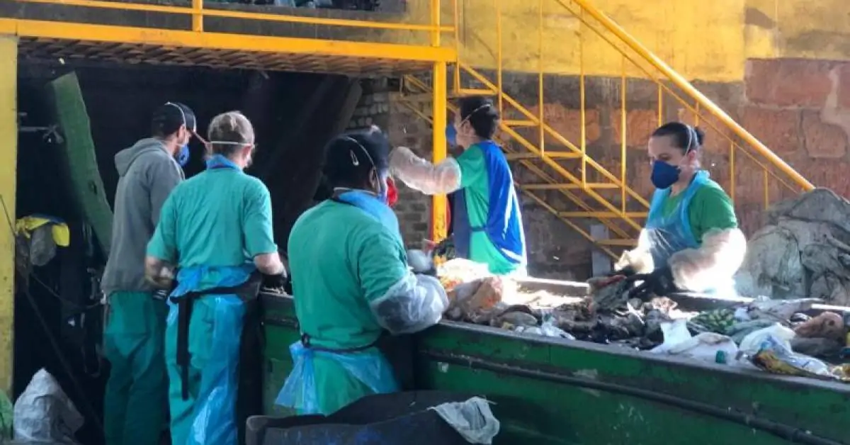 Tampinha Legal já coletou mais de 957 toneladas de tampas plásticas