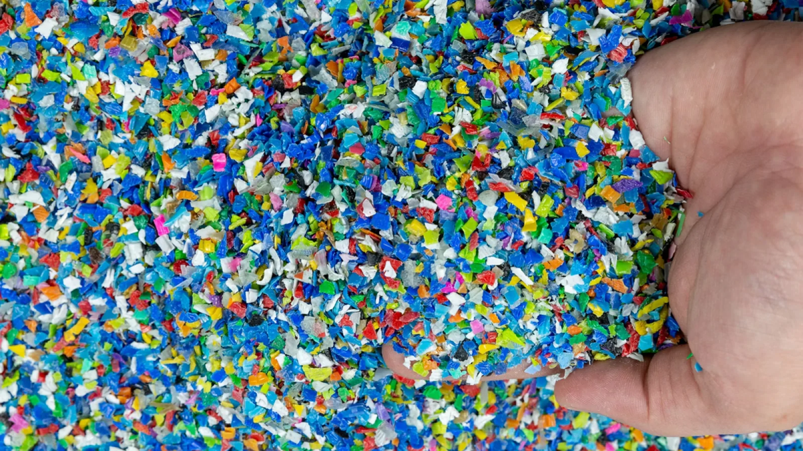 Por IPI menor, montadoras estudam reciclagem de veículos usados