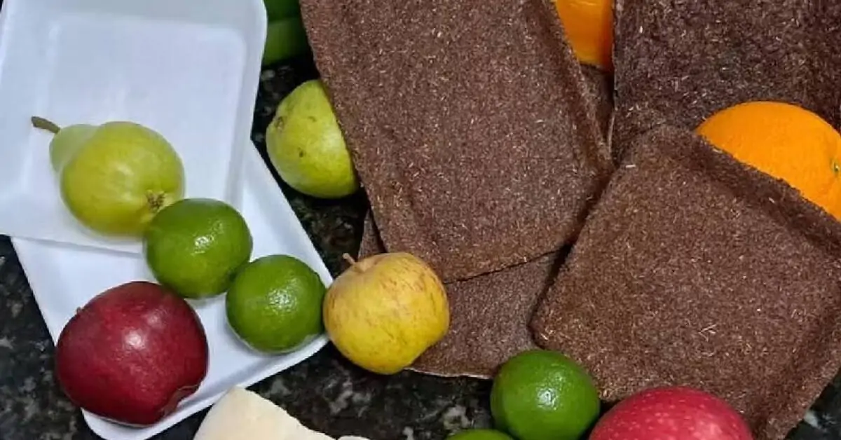 Adeus ao isopor: brasileiro de 14 anos cria a solução perfeita e biodegradável usando apenas casca de mandioca e galhos