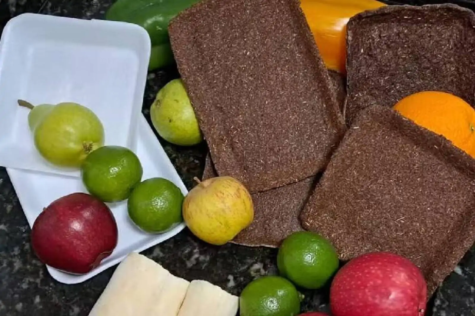 Adeus ao isopor: brasileiro de 14 anos cria a solução perfeita e biodegradável usando apenas casca de mandioca e galhos