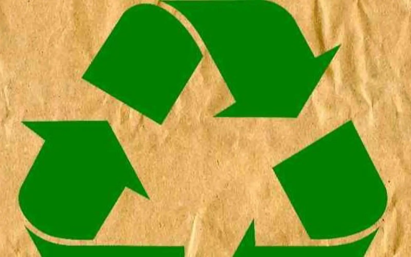 Apenas nove países têm bons resultados na reciclagem de resíduos urbanos, segundo auditores da UE