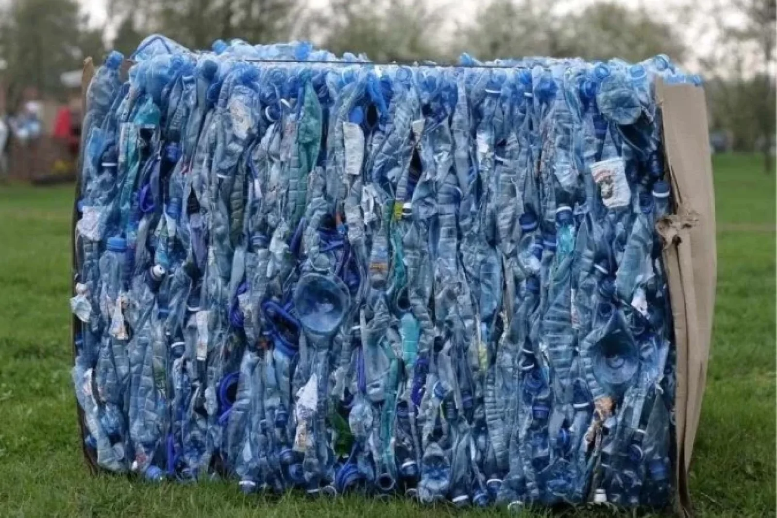 Artigo: reciclagem ganha peso no brasil