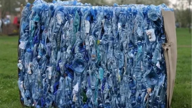 Artigo: reciclagem ganha peso no brasil