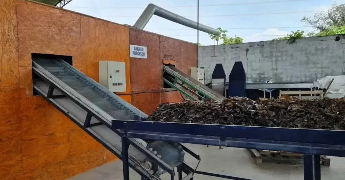 As lições da Eureciclo para a reciclagem de vidro no Amazonas