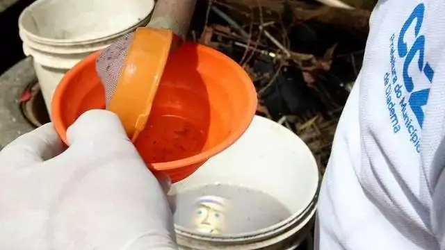 Aumento de larvas de Aedes aegypti encontradas em pneus é sinal de alerta