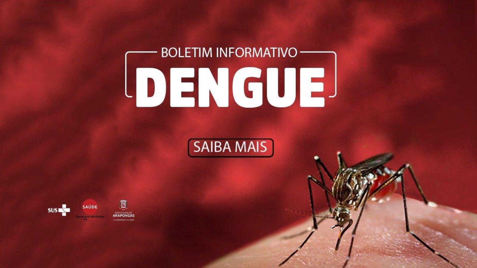 Boletim dengue: arapongas confirma 2.013 casos da doença