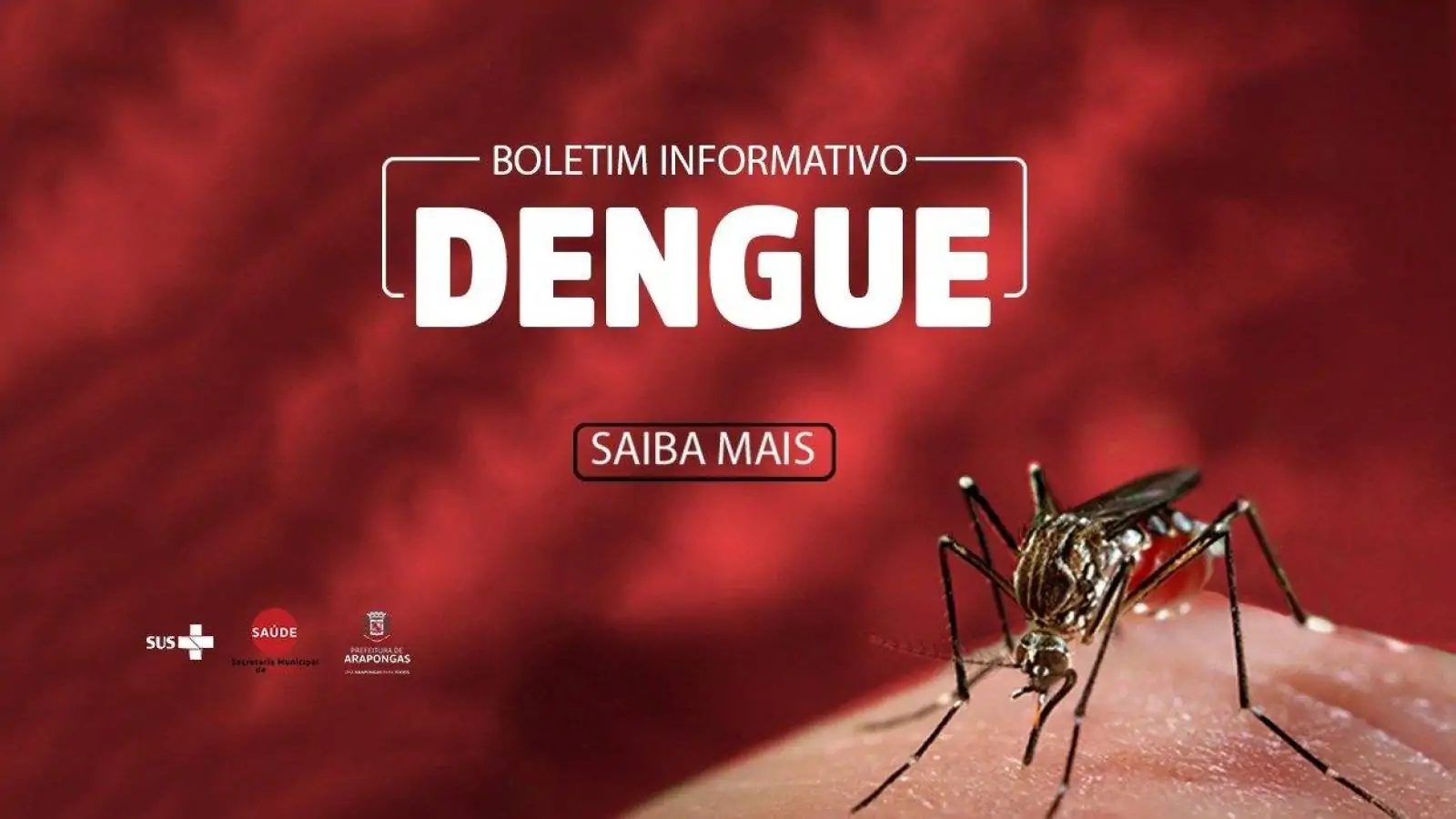 Boletim dengue: arapongas confirma 2.013 casos da doença