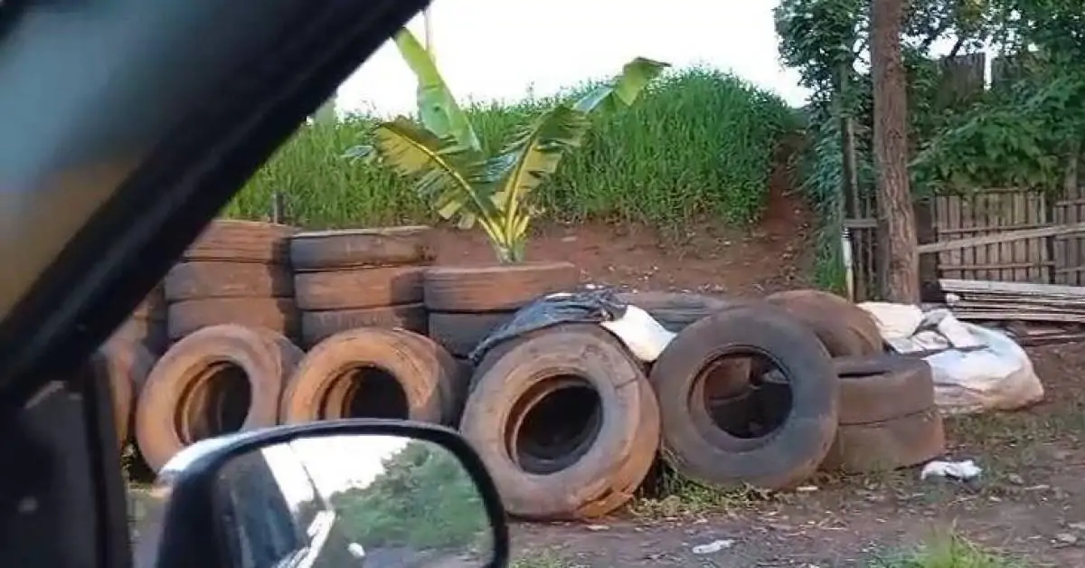 Borracharia é interditada após reincidência de descarte irregular de pneus