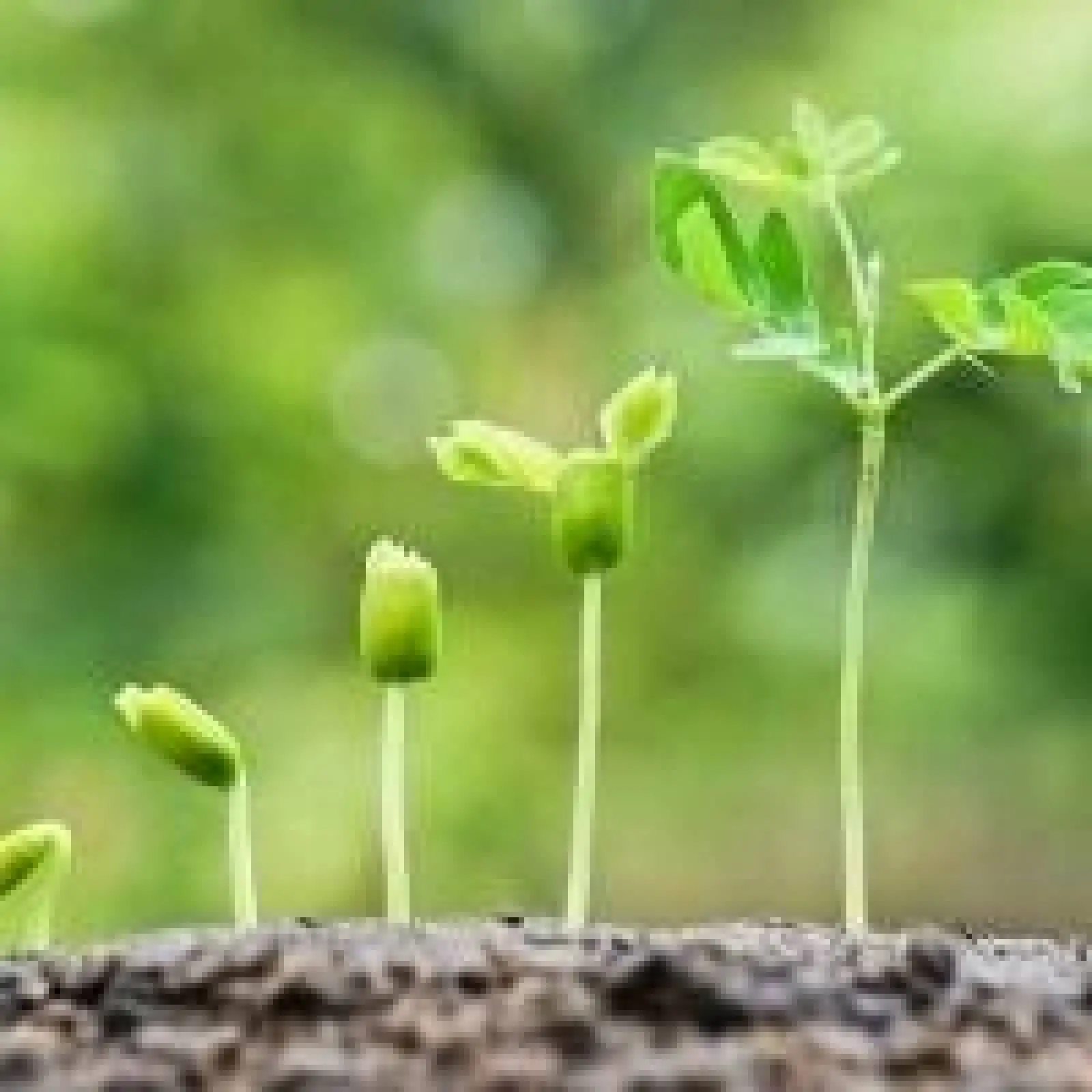 Brasil quer reciclar 20% de seus resíduos sólidos secos até 2040