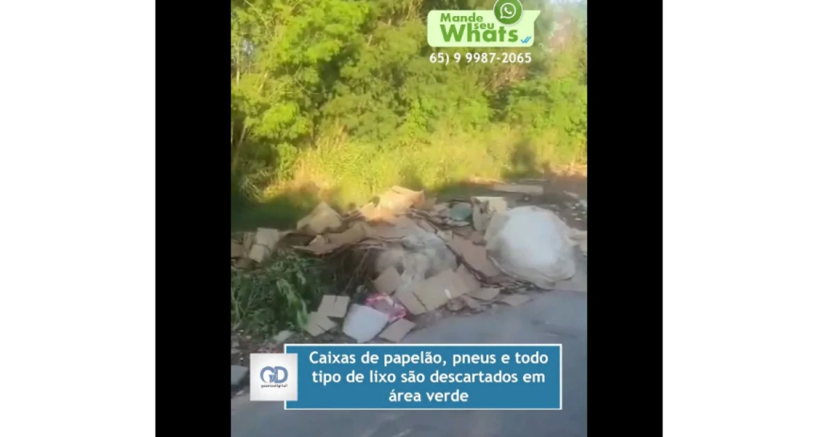  Caixas de papelão, pneus e todo tipo de lixo são descartados em área verde