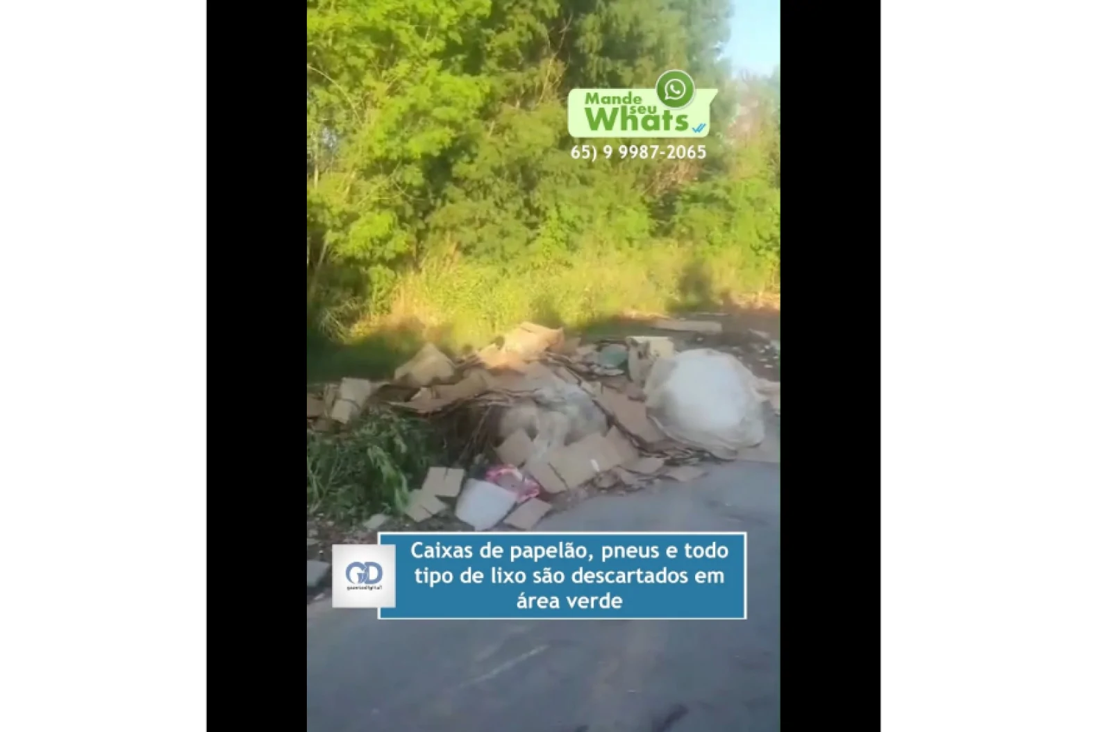  Caixas de papelão, pneus e todo tipo de lixo são descartados em área verde