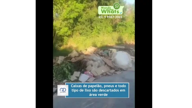  Caixas de papelão, pneus e todo tipo de lixo são descartados em área verde