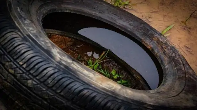 Campanha Estadual de Recolhimento de Pneus tem recorde de municípios inscritos