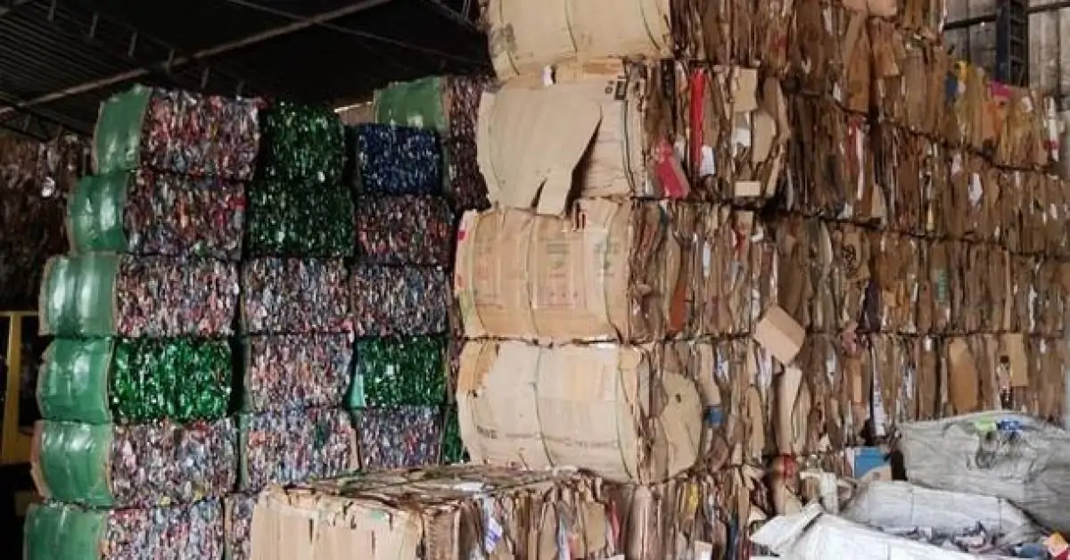Catadores de materiais recicláveis são agentes da saúde e do meio ambiente
