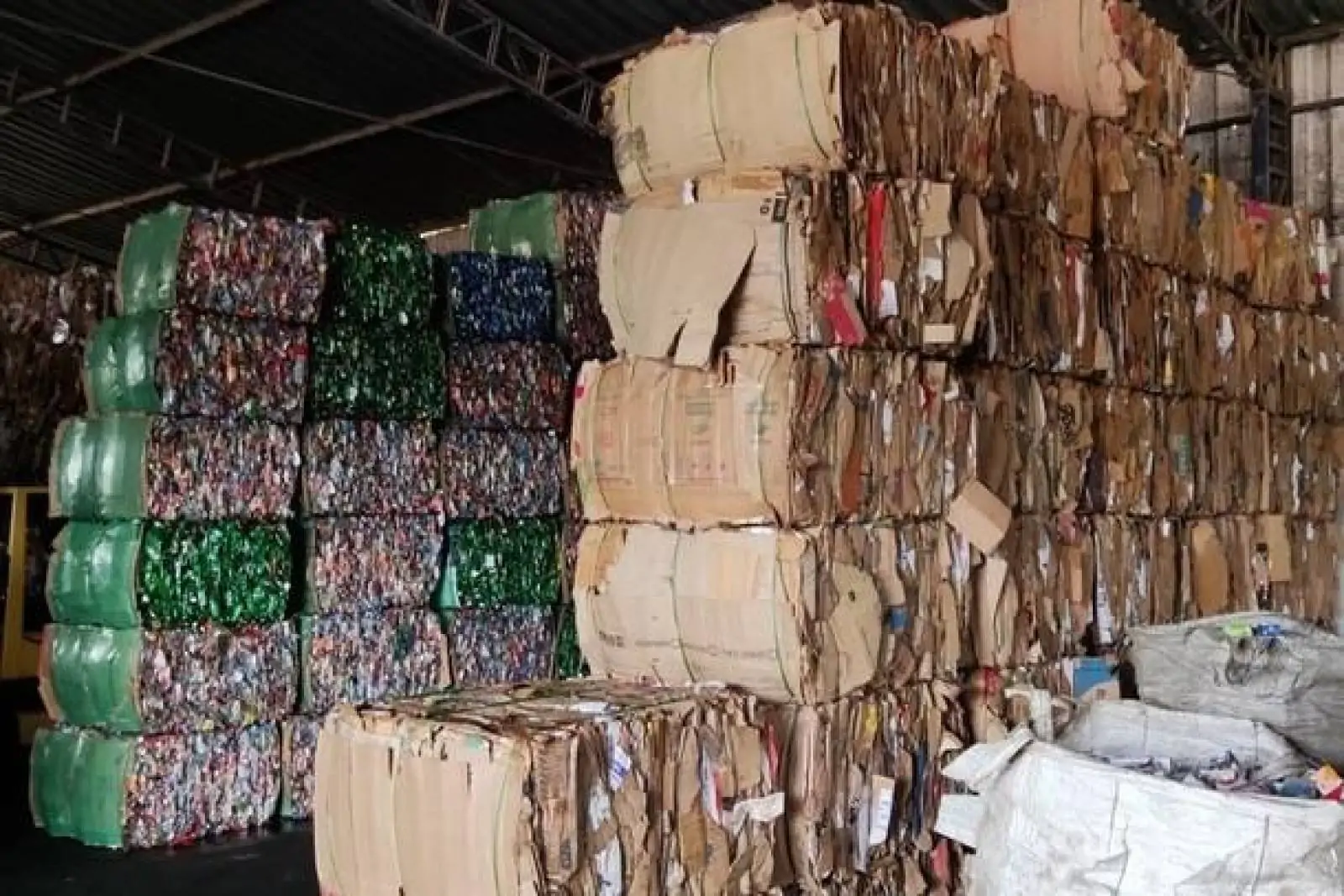 Catadores de materiais recicláveis são agentes da saúde e do meio ambiente