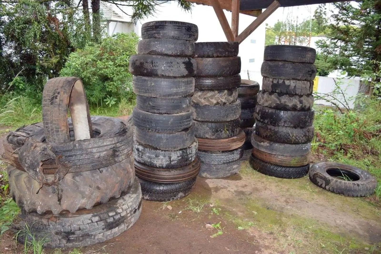 Coleta de pneus inservíveis em Presidente Lucena
