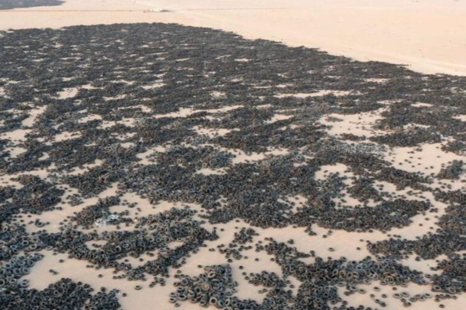 Com 500.000 pneus virando tijolos por dia, empresa transforma lixo em piso resistente com máquinas gigantes, processo brutal de trituração e a maior operação de reciclagem da Nigéria