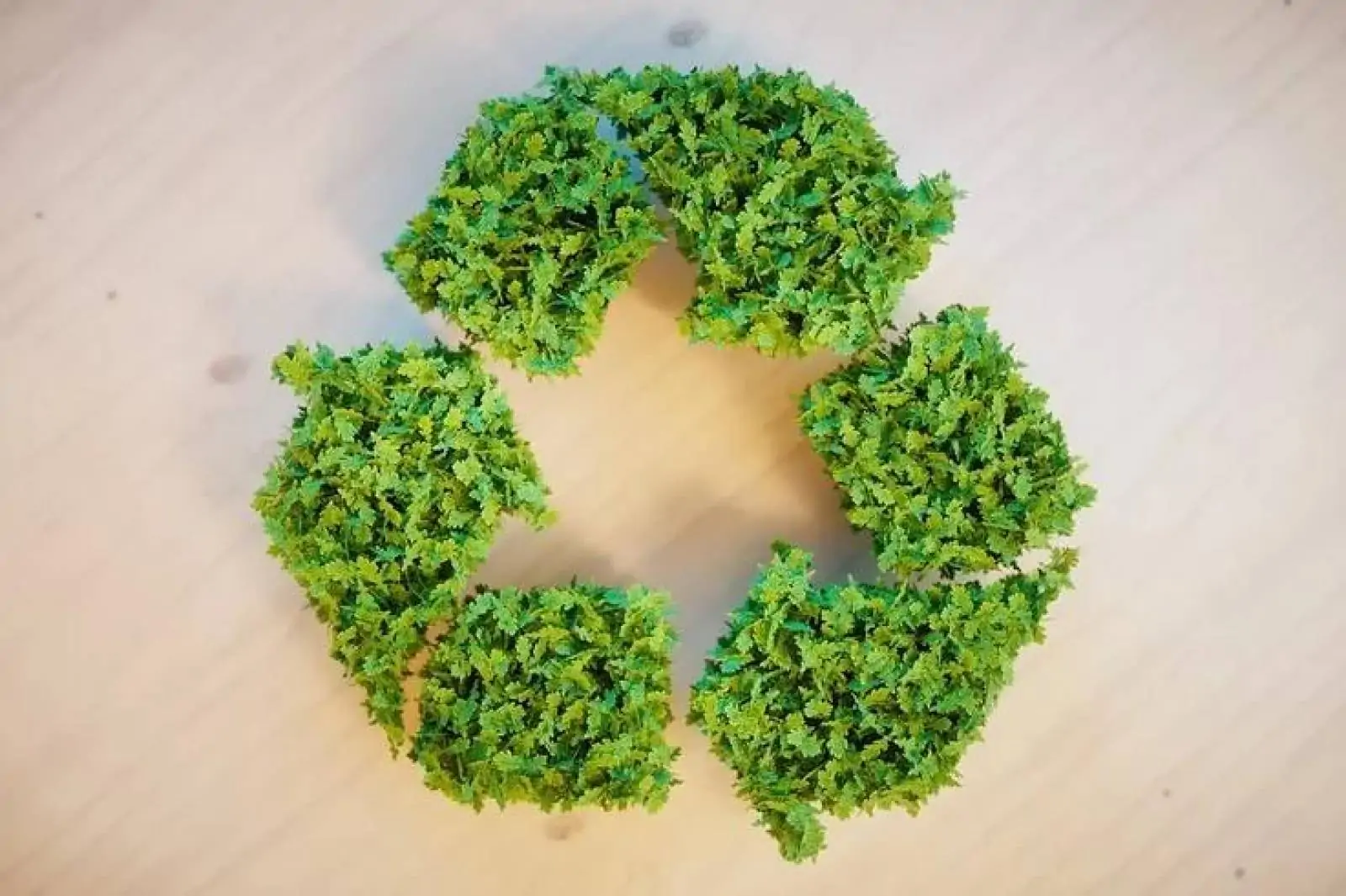 Com apoio do Brasil, Coalizão da América Latina assina declaração sobre Economia Circular