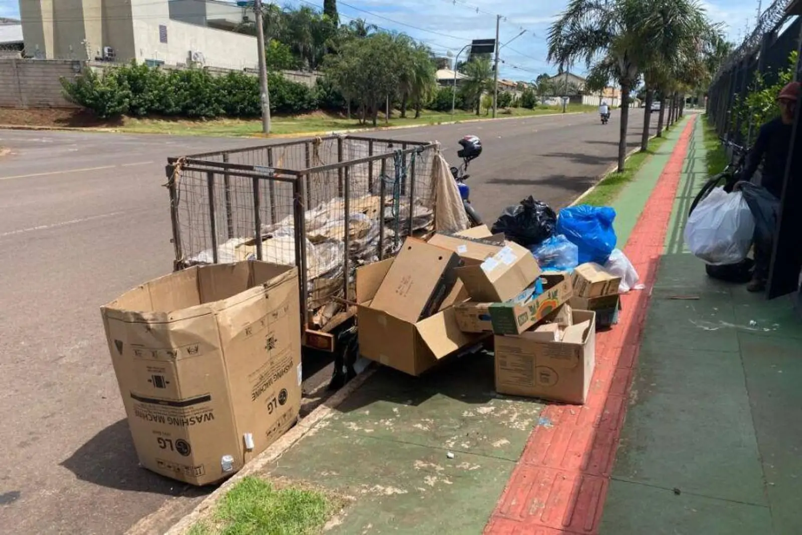 Com catadores informais, coleta de recicláveis da Solurb cai 18% em quatro anos