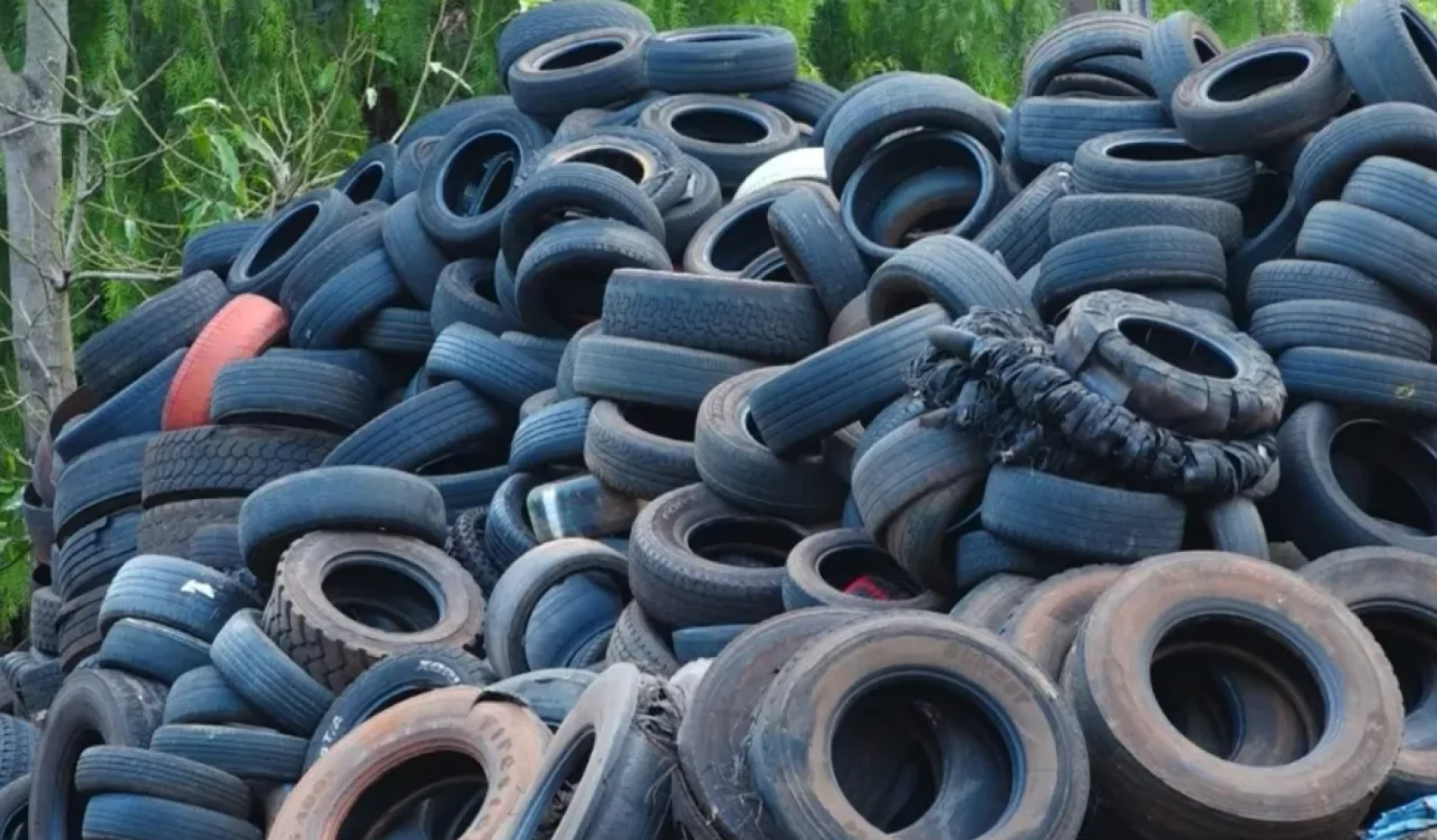 Com medo de dengue, moradores do Morumbi pedem retirada de pneus a céu aberto