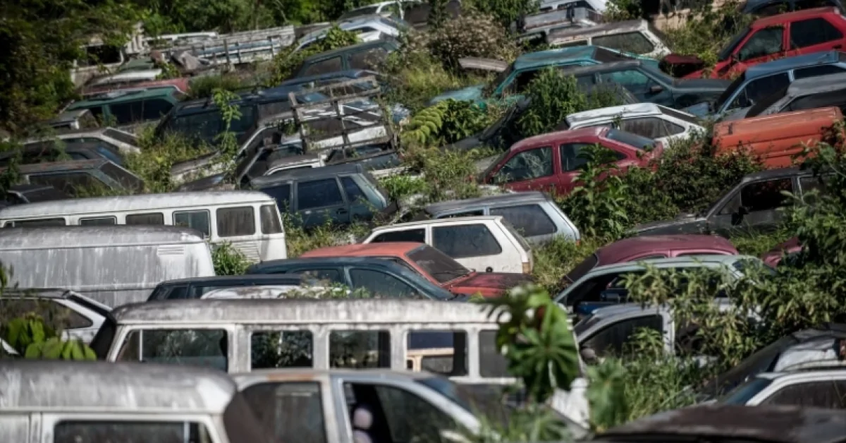 Com venda de certificado de reciclagem, Octa dobra receita mês a mês