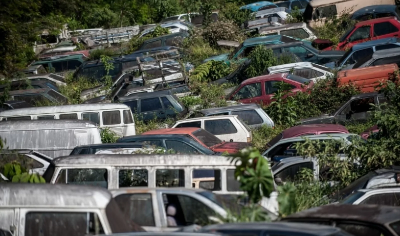 Com venda de certificado de reciclagem, Octa dobra receita mês a mês
