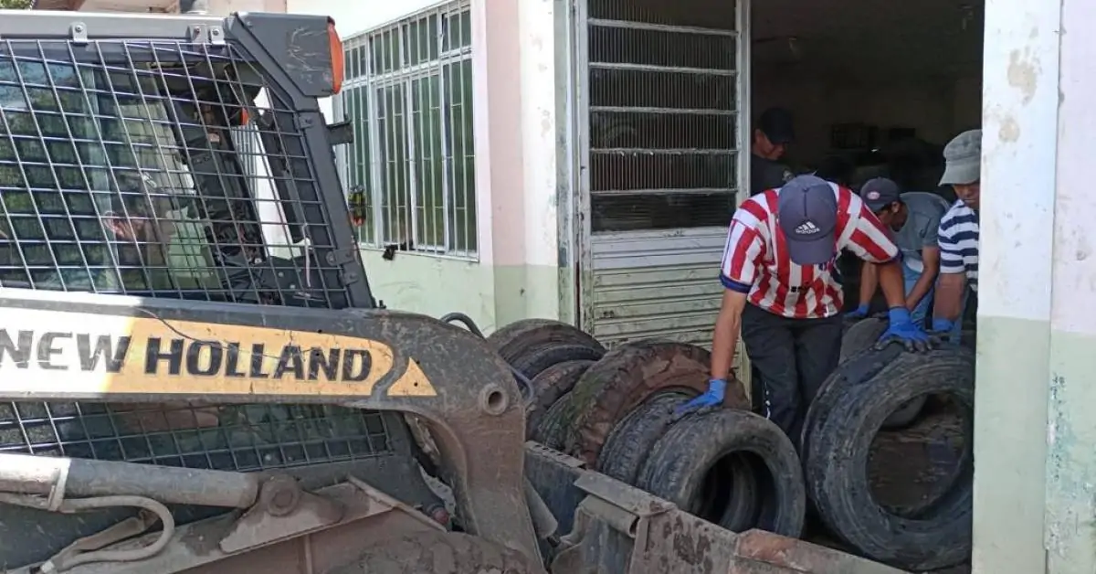 Combate à dengue: mais de 20 mil pneus inservíveis são recolhidos em Santa Catarina