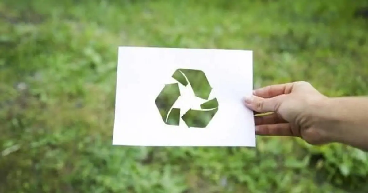 Compromisso ambiental e o seu papel no modelo de gestão das empresas