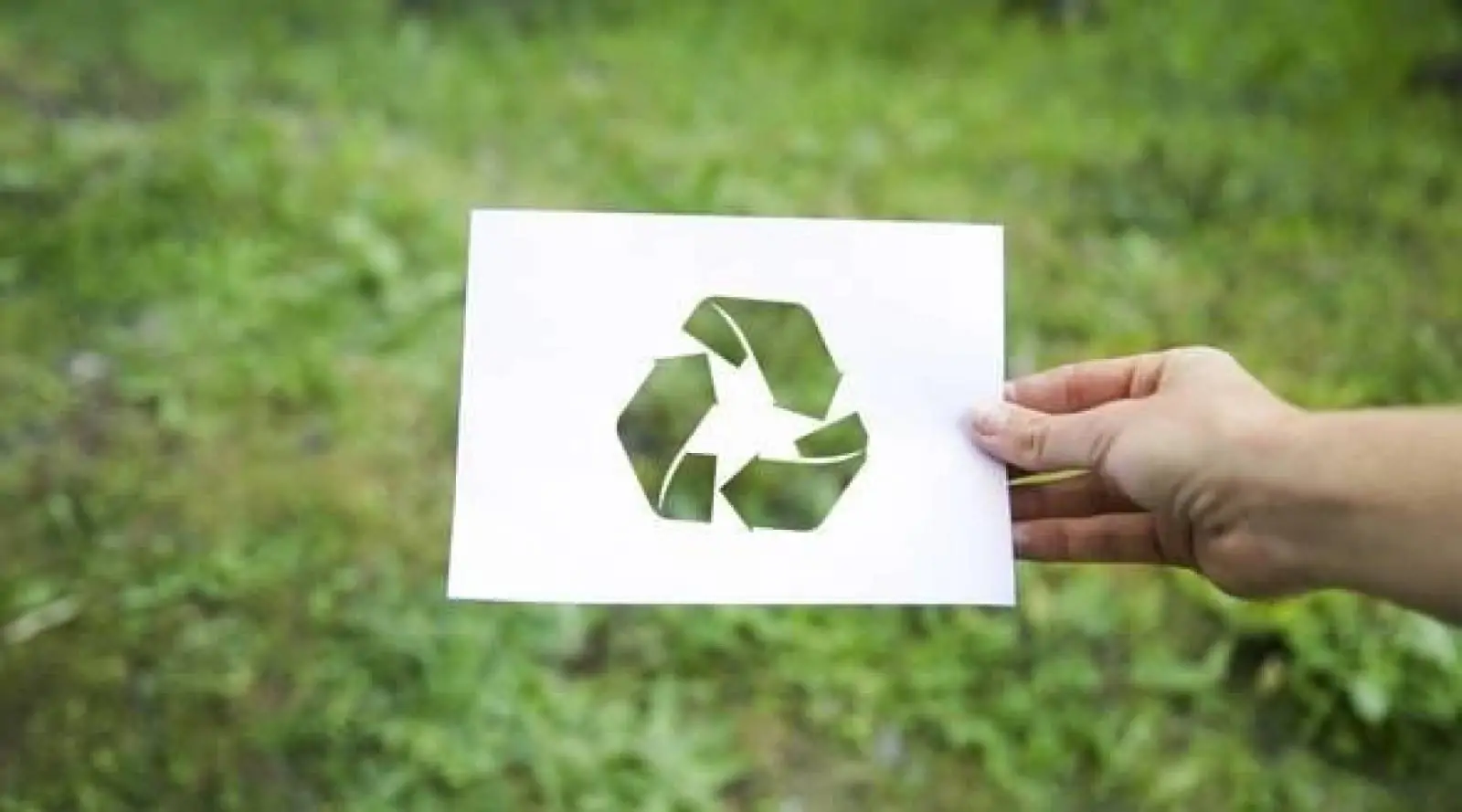 Compromisso ambiental e o seu papel no modelo de gestão das empresas