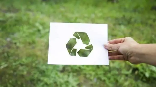 Compromisso ambiental e o seu papel no modelo de gestão das empresas