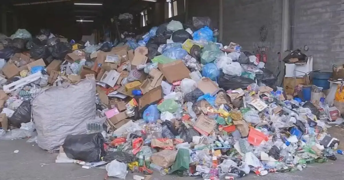 Cooperativas de reciclagem de Sorocaba enfrentam dificuldades por falta de verbas e queda no valor de materiais: 'Não conseguimos sobreviver'