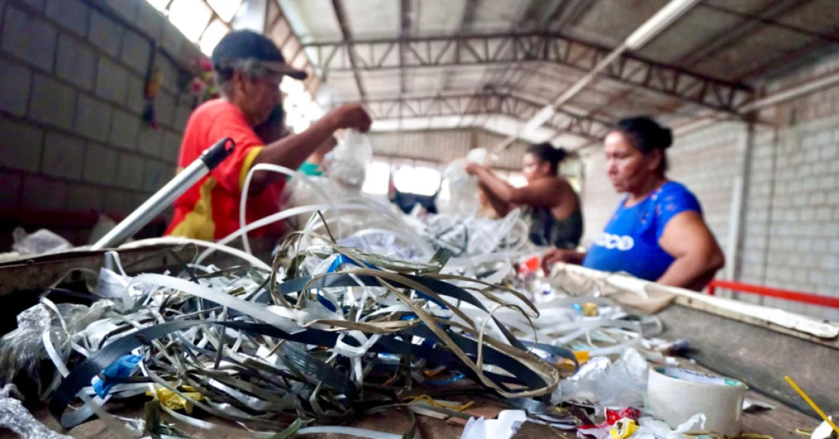 Cooperativas de reciclagem sofrem com falhas na coleta seletiva