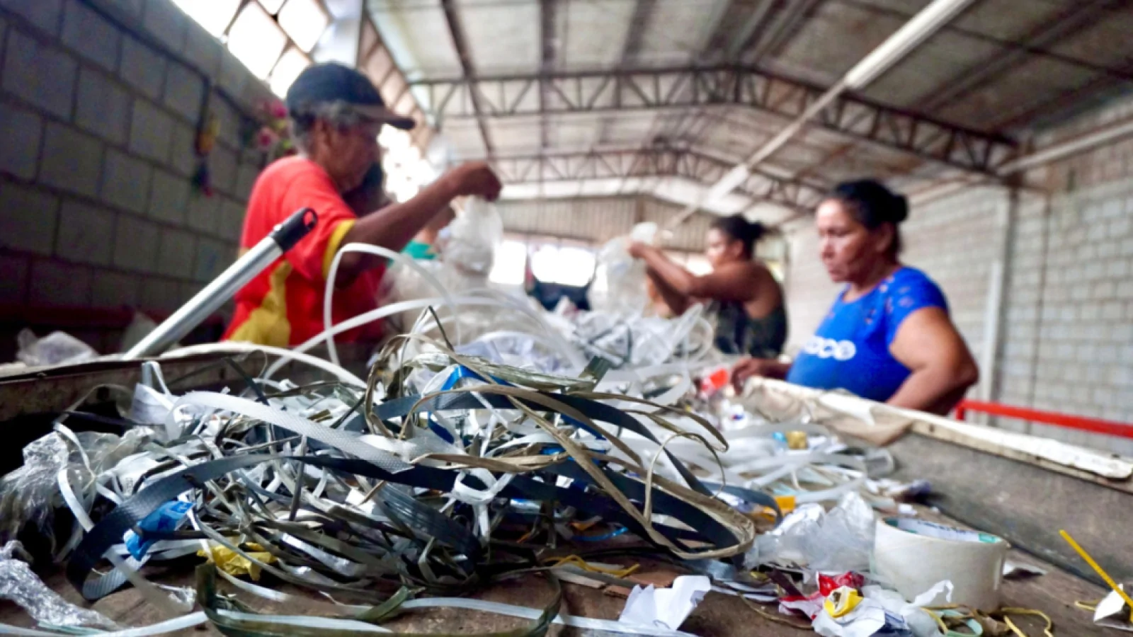 Cooperativas de reciclagem sofrem com falhas na coleta seletiva