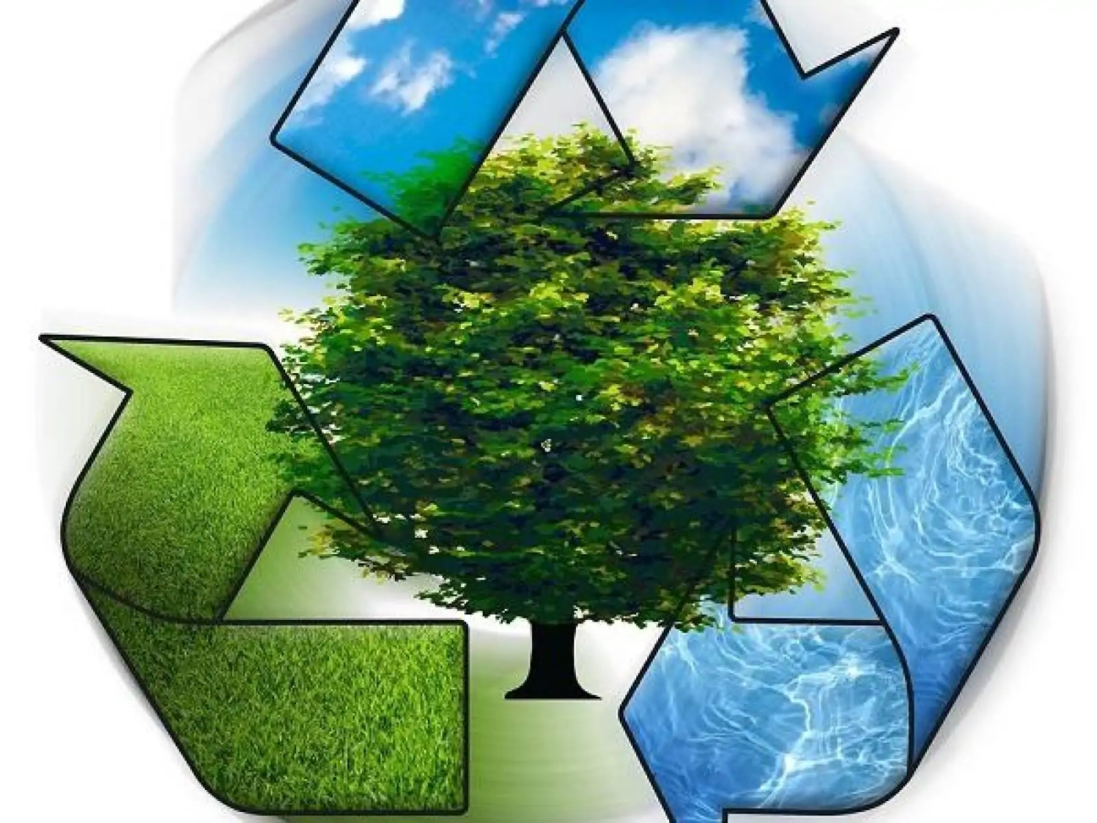 Cooperativas do DF reciclam mil toneladas de produtos por mês