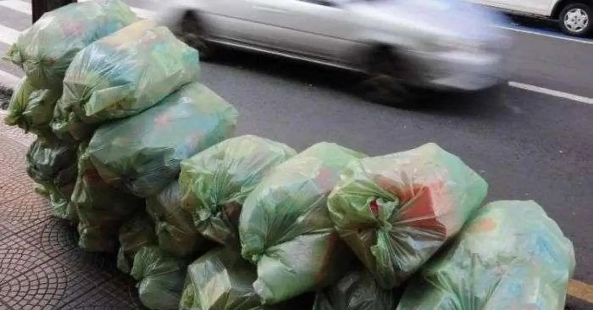Cooperativas reclamam que estão coletando reciclagem sem contrato formal