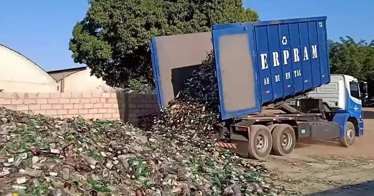 Crédito de reciclagem: ação “ganha-ganha” recolhe 52 mil toneladas de embalagens