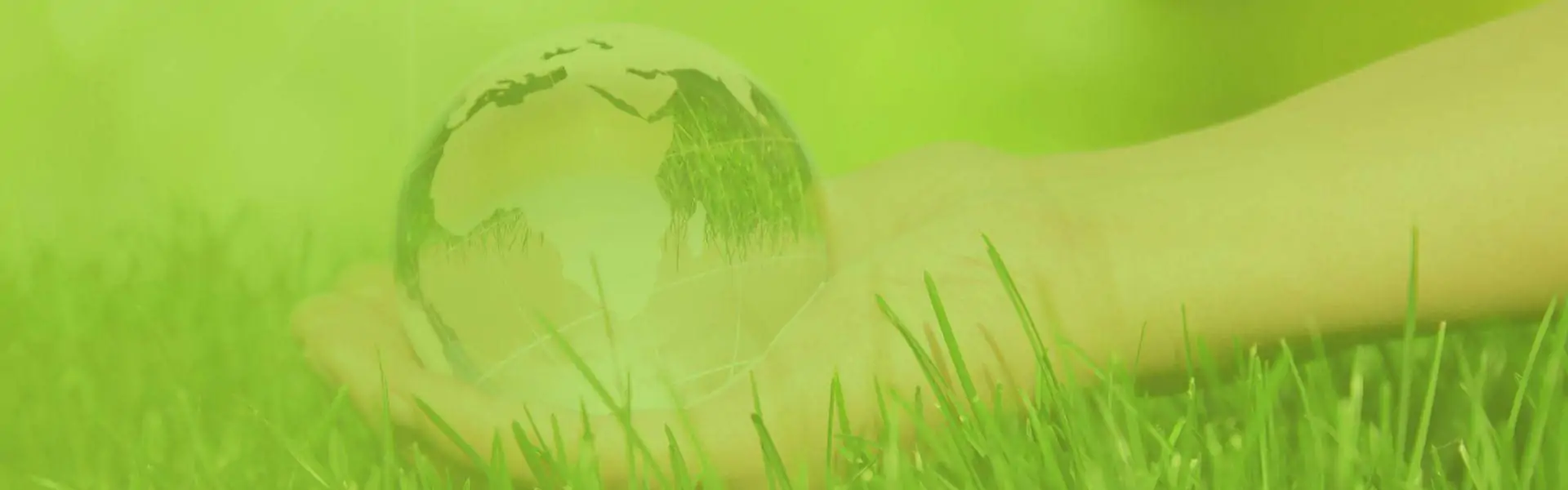 Cuide do Meio Ambiente...