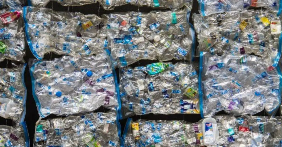 Custos são um desafio para o setor de reciclagem no Brasil 