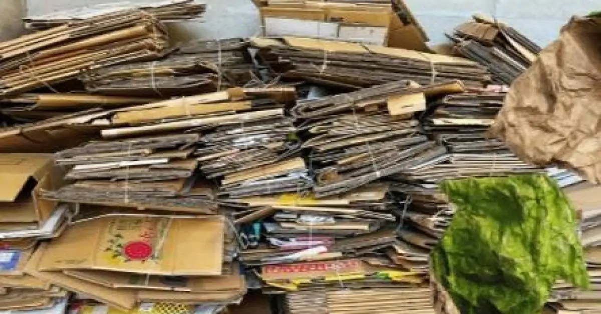 Decisão do STF sobre PIS e Cofins pode aumentar custos na cadeia de reciclagem no Brasil