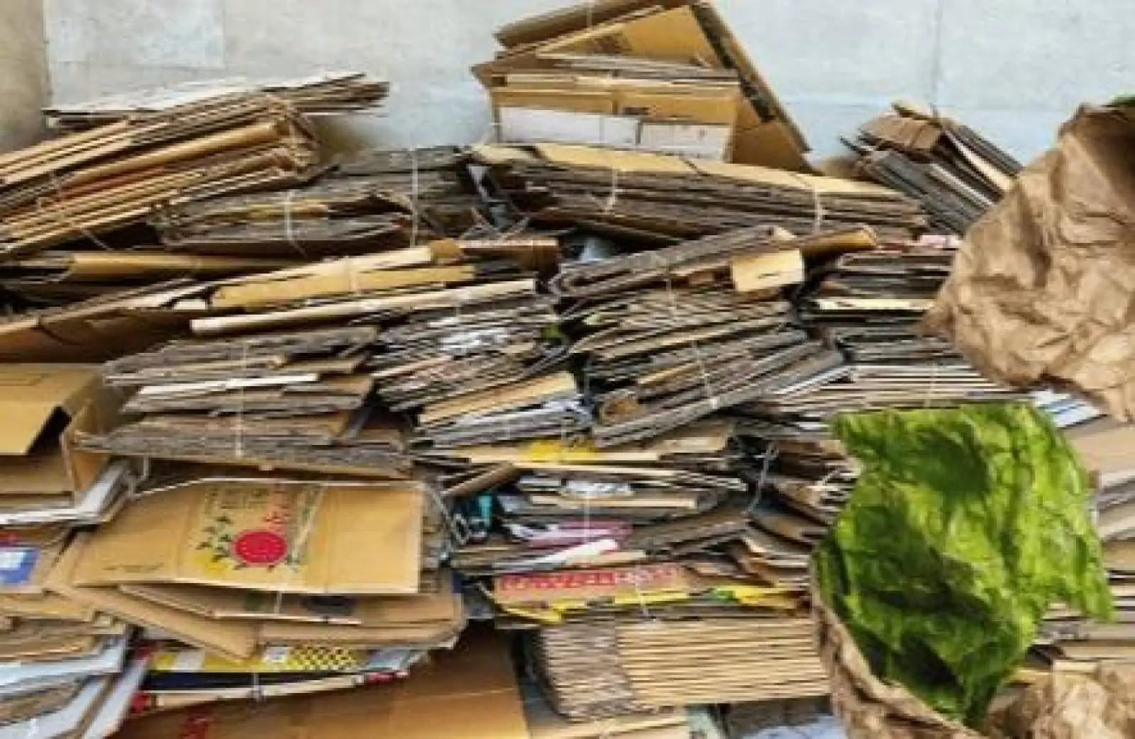 Decisão do STF sobre PIS e Cofins pode aumentar custos na cadeia de reciclagem no Brasil