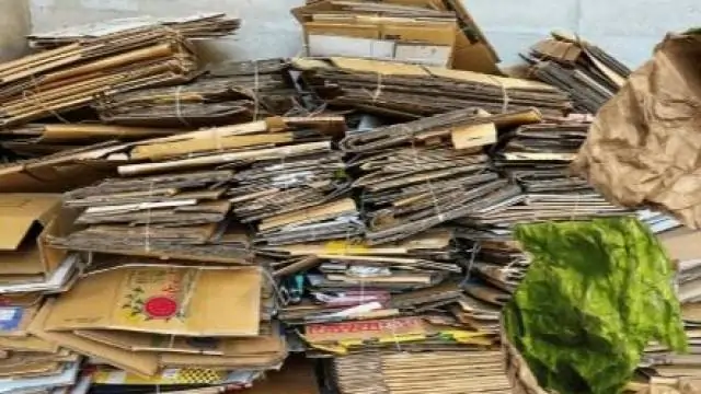 Decisão do STF sobre PIS e Cofins pode aumentar custos na cadeia de reciclagem no Brasil