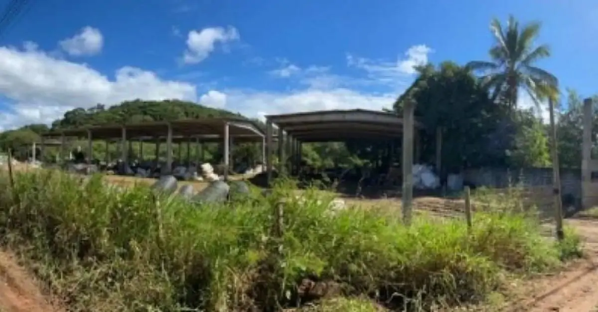 Decisão judicial garante instalação de energia elétrica para cooperativa de reciclagem no litoral sul da Bahia