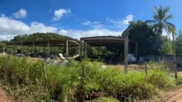 Decisão judicial garante instalação de energia elétrica para cooperativa de reciclagem no litoral sul da Bahia